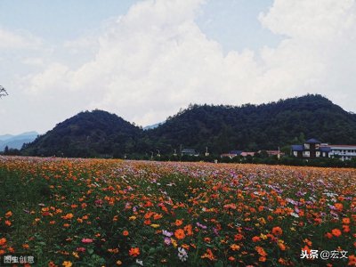 ​《平凡的世界》秀莲的死 并非意外
