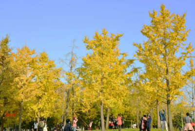 ​风和日暖是什么意思