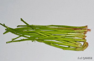 ​泡臭豆腐的原料，苋菜梗农村很常见却没人知道，做成腌菜味道一绝