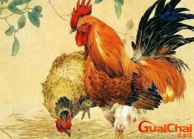 ​属鸡和属虎的合不合呢  婚前了解很重要