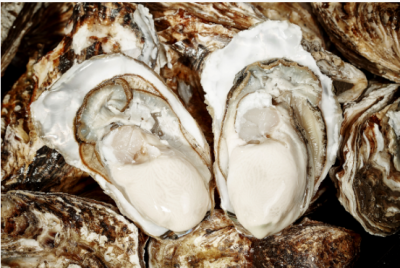 ​生蚝怎么开开生蚝的技巧和方法