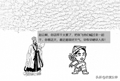 ​农谚集锦-天上起了鱼鳞斑，明天晒谷不用翻