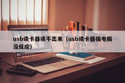 ​usb读卡器读不出来（usb读卡器插电脑没反应）