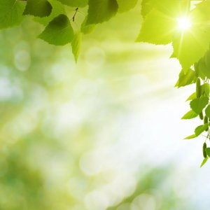 ​二月二的习俗是什么（二月二的各种风俗，如此有趣）