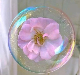 ​关于爱情的哲理句子（关于爱情很有哲理的文案）