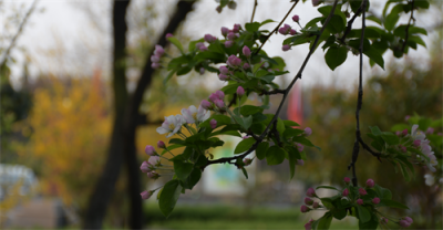 ​中考学子，临沂十九中拍了拍你