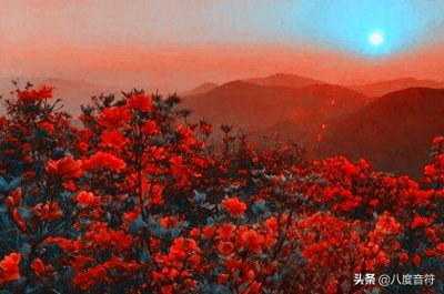 ​经典红歌《映山红》简析及葫芦丝简谱、伴奏，供大家学习参考