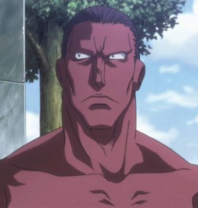 ​全职猎人实力排行榜，会长的实力竟然进不了前五