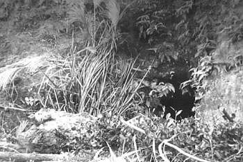 实拍被拐卖致残的孩子，人贩子被抓时，真叫大快人心！