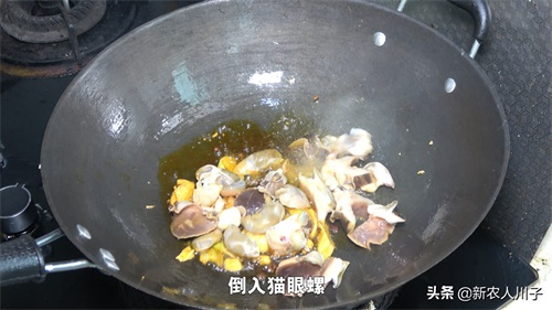 网上买的猫眼螺肉怎么做？拿来做辣炒，一人能吃一大盘