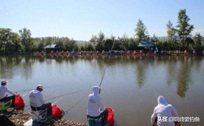 ​黑坑青鱼怎么钓？新手必须教程，为你详细解析作钓方式