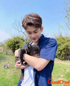 ​熊梓淇是几线艺人?最近为什么没消息了？