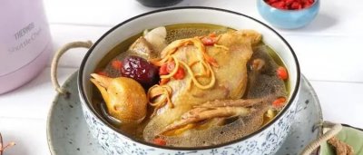 ​如何炖鸽子汤？做到2不放，加3样！