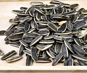 ​过年吃什么（过年必吃的15种食物）