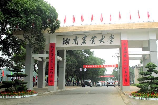 湖南一本大学(湖南省一本大学院校名单)