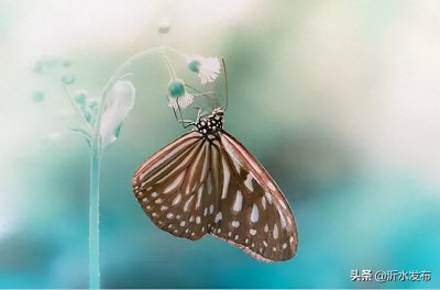 ​1000个笑死人的脑筋急转弯(50个脑筋急转弯防痴呆，眼泪要笑出来了！)