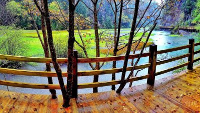 ​九寨沟景区全面归来，来跟川观新闻打卡大熊猫最迷恋的熊猫海