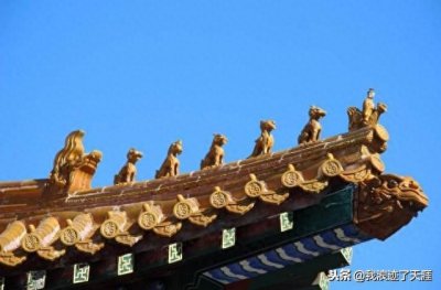 ​在东北话经常听到五脊六兽这个词，它到底是什么意思，又是哪六兽