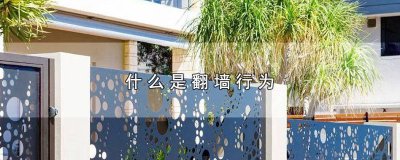 ​什么是翻墙行为