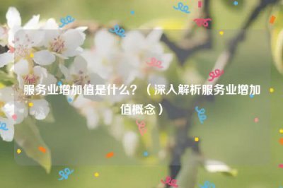 ​服务业增加值是什么？（深入解析服务业增加值概念）
