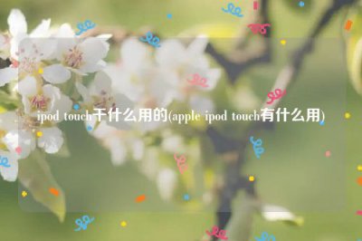 ​ipod touch干什么用的(apple ipod touch有什么用)
