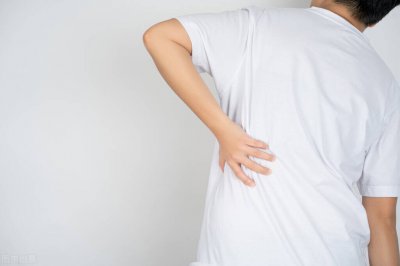 ​补肾吃什么东西效果最好（怎么吃才养肾？4类食物榜上有名，不妨了解一下）