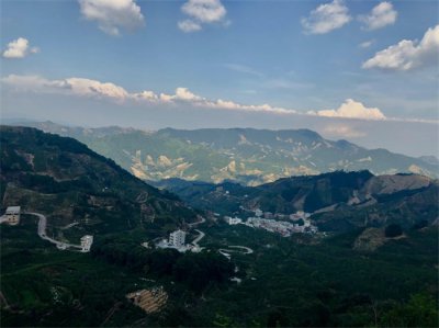 ​鸭屎香是什么茶（什么是鸭屎香？是什么茶？）