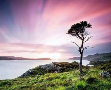 ​否极泰来是什么意思中文解释(一天一个成语：否极泰来)