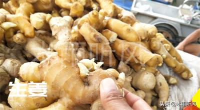 ​几月份种姜最合适? 种植过程当中，采取哪些措施更有利？