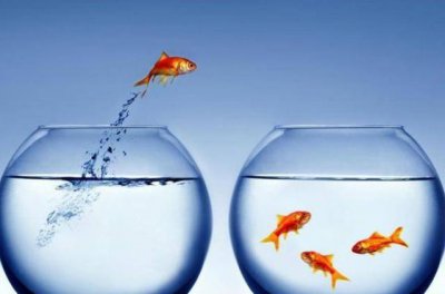 ​辞职信如何写？这三种写法，让你以优雅的方式潇洒的离开