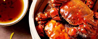 ​大闸蟹和羊肉可以一起吃吗会过敏吗 大闸蟹跟羊肉可以一起吃吗