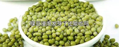 ​绿豆浸发芽了还可以吃吗? 用水浸泡的绿豆发芽了还可以吃吗