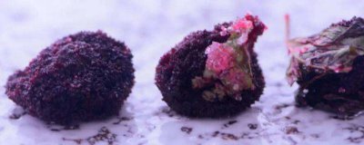 ​发霉的杨梅能不能吃 发霉的杨梅还能吃吗