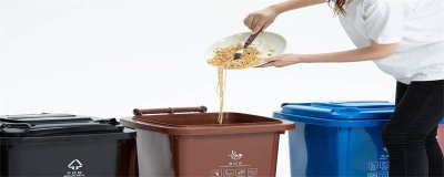 ​核桃壳是干垃圾,还是湿垃圾 核桃壳是属于什么垃圾干垃圾还是湿垃圾