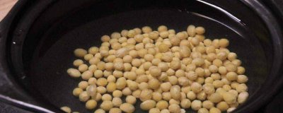 ​黄豆属于寒性还是温性 黄豆属于温性还是寒性