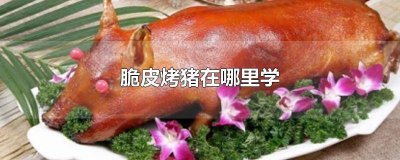 ​脆皮烤猪需要设备有哪些 脆皮烤猪做法