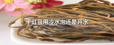 ​豆用温水还是凉水泡着快 干豇豆用冷水泡还是热水泡