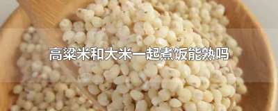 ​高粱米可以煮米饭吗怎么煮 高粱米可以煮米饭吗怎么做