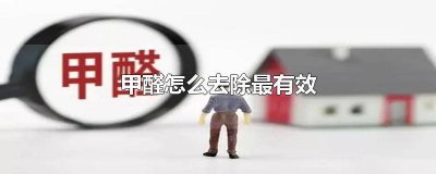 ​甲醛怎么去除最有效 百度经验 甲醛怎么去除最有效植物