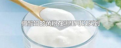 ​酸奶菌粉在什么地方有的买 哪里卖酸奶菌粉酸奶菌粉