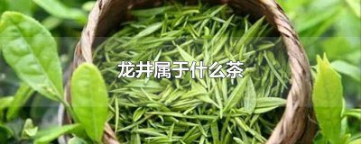 ​西湖龙井属于什么茶类 狮峰龙井属于什么茶类