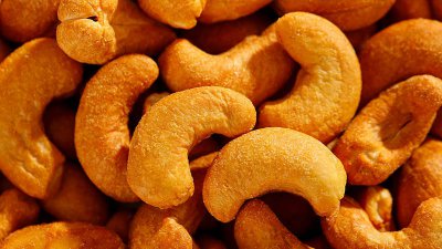 ​腰果的生长 腰果是哪种植物的果实