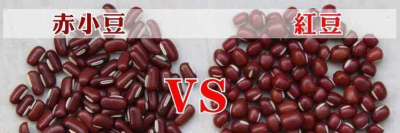 ​赤小豆的功效与作用（利尿消肿  解毒祛湿除脚气）