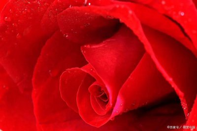 ​挽回感情的技巧方法，来看看管不管用吧