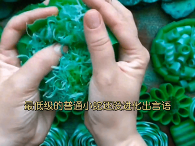 ​我是一条鱼只有七秒钟的记忆 我是一条的鱼歌词