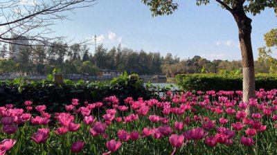 ​爱喝茶的女人,赞美句子怎么写 爱喝茶的女生怎么形容