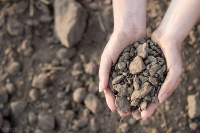 ​土壤污染防治措施有哪些