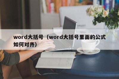 ​word大括号（word大括号里面的公式如何对齐）