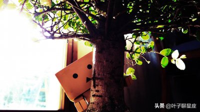 ​射手座爱上哪个星座无法自拔（射手座爱上哪个星座无法自拔的）