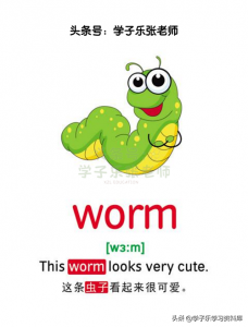 ​动物的英文怎么读（我认识所有动物的英文怎么读）